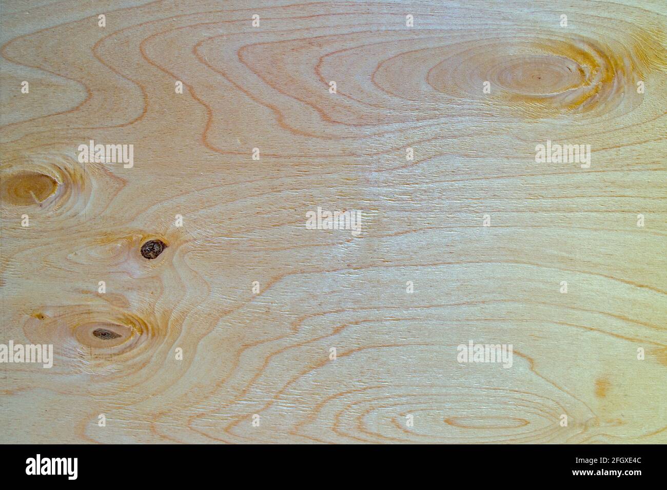 Superficie beige de chapa contrachapada con estructura de madera de árbol con ondas horizontales y curvas, fondo natural de madera orgánica abstracta Foto de stock