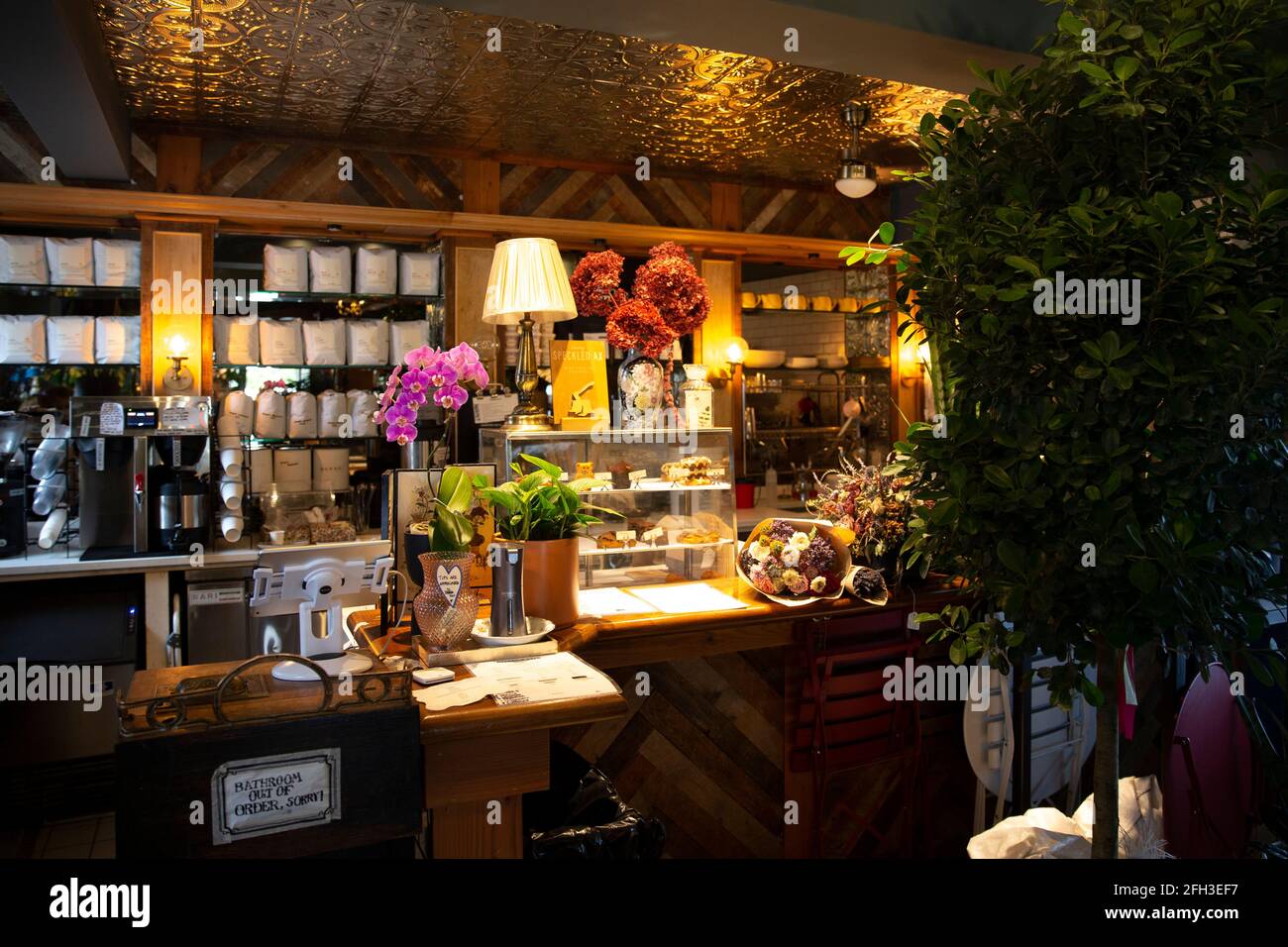 Dentro de una pequeña cafetería local con muchas plantas y flores. Hermosa  decoración interior botánica Fotografía de stock - Alamy