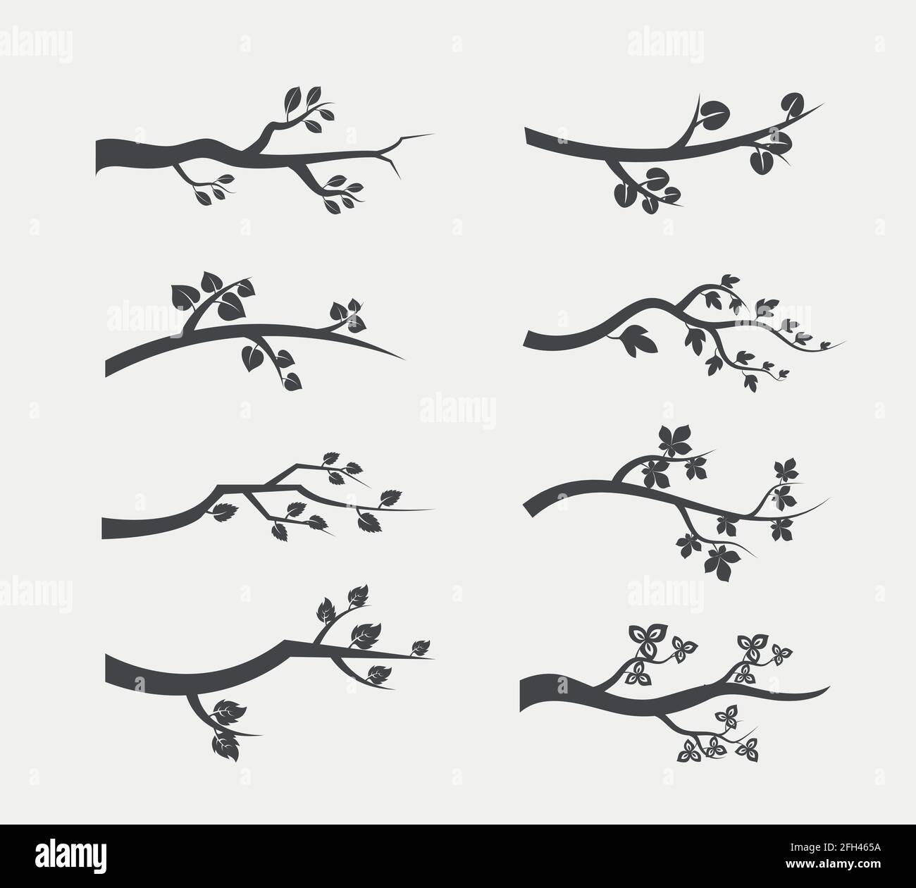 Silueta de ramas de árboles vectoriales con hojas. Conjunto de ilustración  de árbol de rama Imagen Vector de stock - Alamy