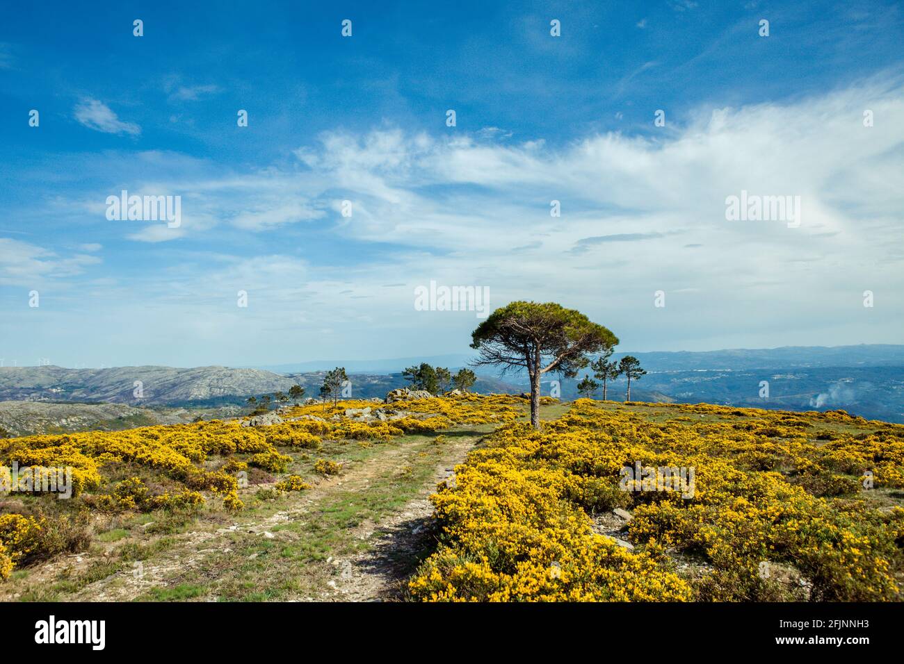 La Montaña Freita en primavera (Serra da Freita), parte del Geoparque Arouca, Portugal. Foto de stock