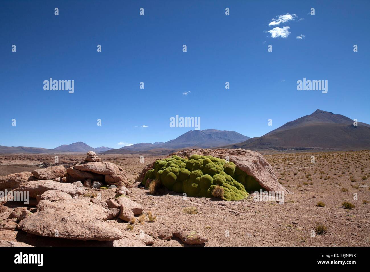 Nativo de argentina y chile fotografías e imágenes de alta resolución -  Página 3 - Alamy