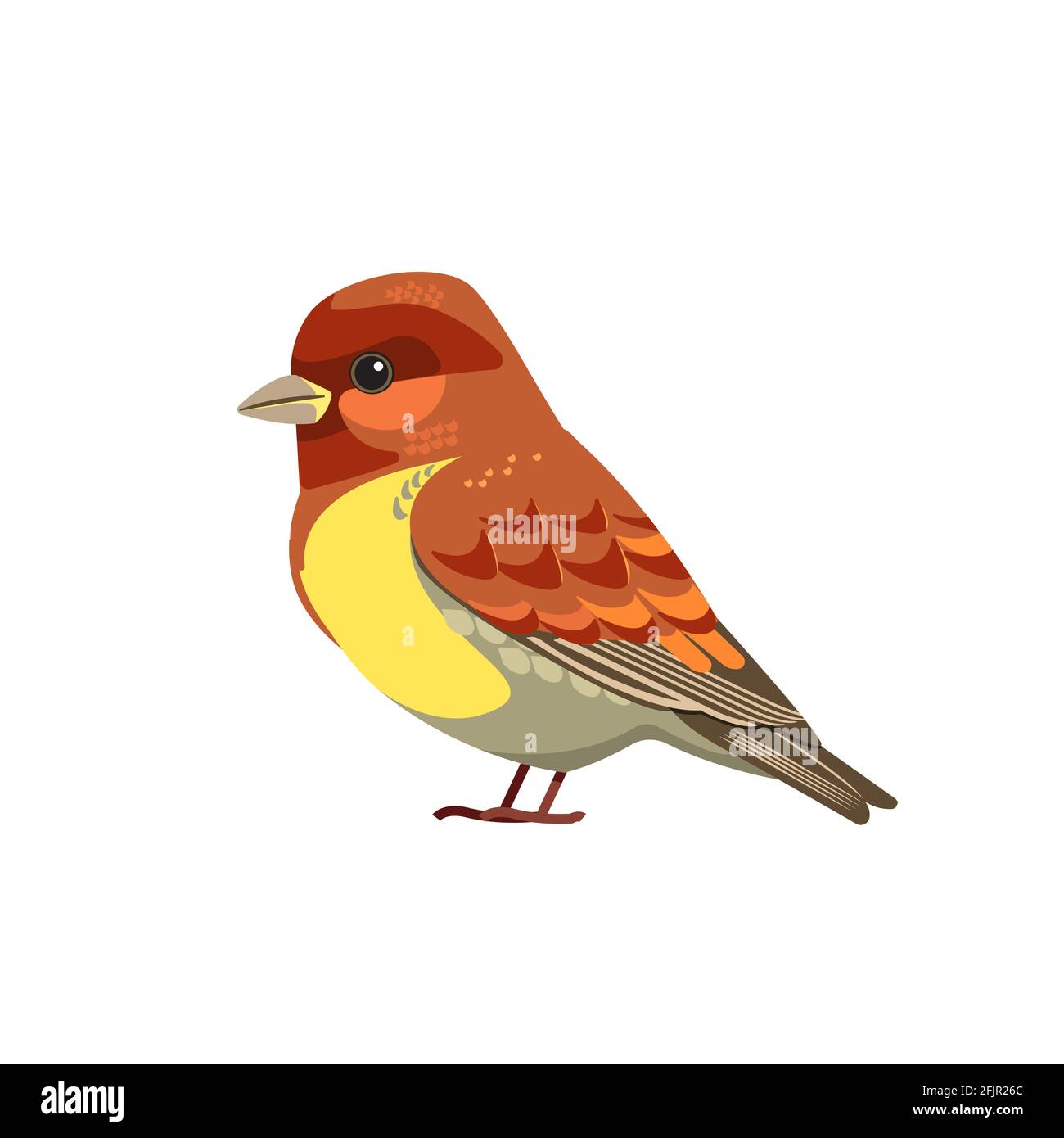 Canario de dibujos animados fotografías e imágenes de alta resolución