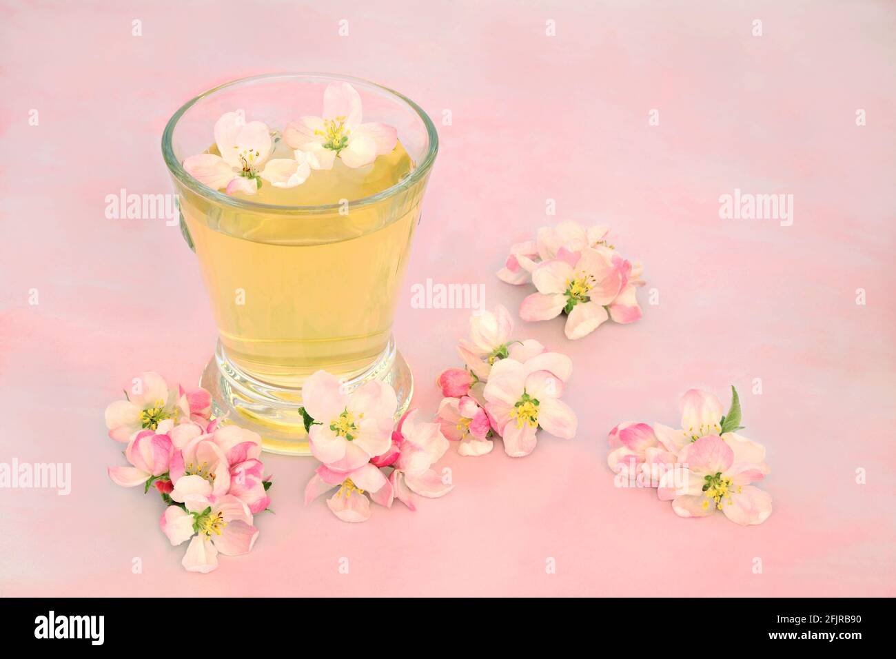 Remedio natural para el cuidado de la piel con flores de manzano con bebida caliente en un vaso de mármol rosa. Puede limpiar acné y proporcionar una tez clara. Foto de stock