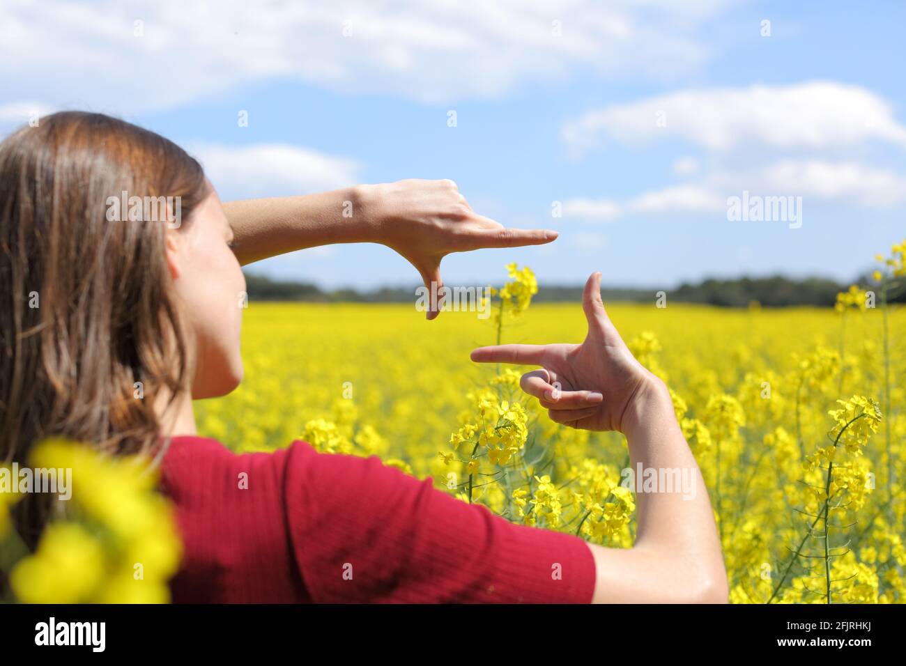 Primer plano de las manos de una mujer enmarcando la flor en un campo amarillo en primavera Foto de stock