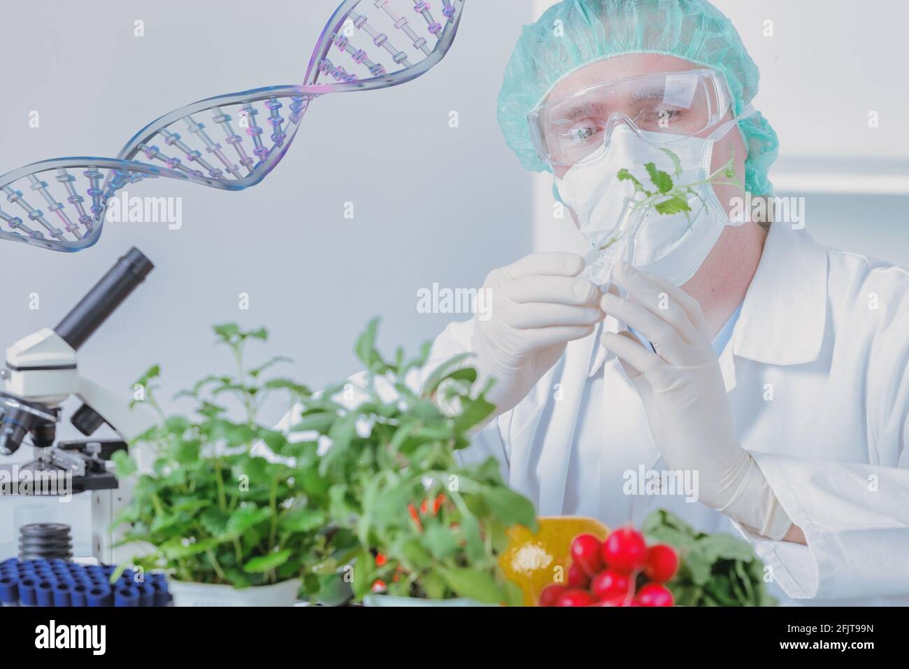 Investigador con plantas OGM. El organismo genéticamente modificado o GEO es una planta cuyo material genético ha sido alterado utilizando técnicas de ingeniería genética Foto de stock