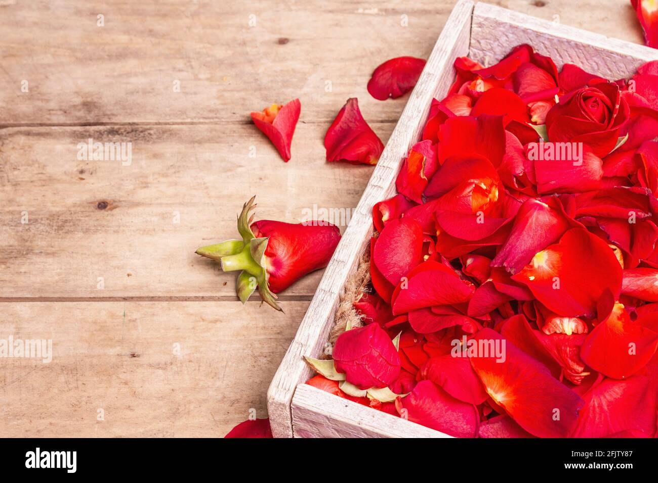 Pétalos de rosas rojas frescas en cajas de madera. Flores