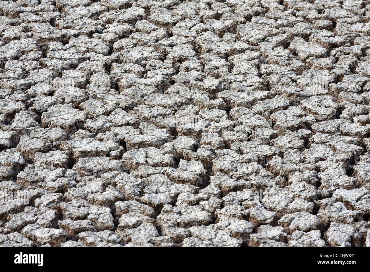 Estanque seco, relacionado con el tiempo, patrones en la naturaleza, fisuras múltiples, América del Sur, Islas Galápagos, Isla Carlos, Isla Floreana, Ecuador Foto de stock