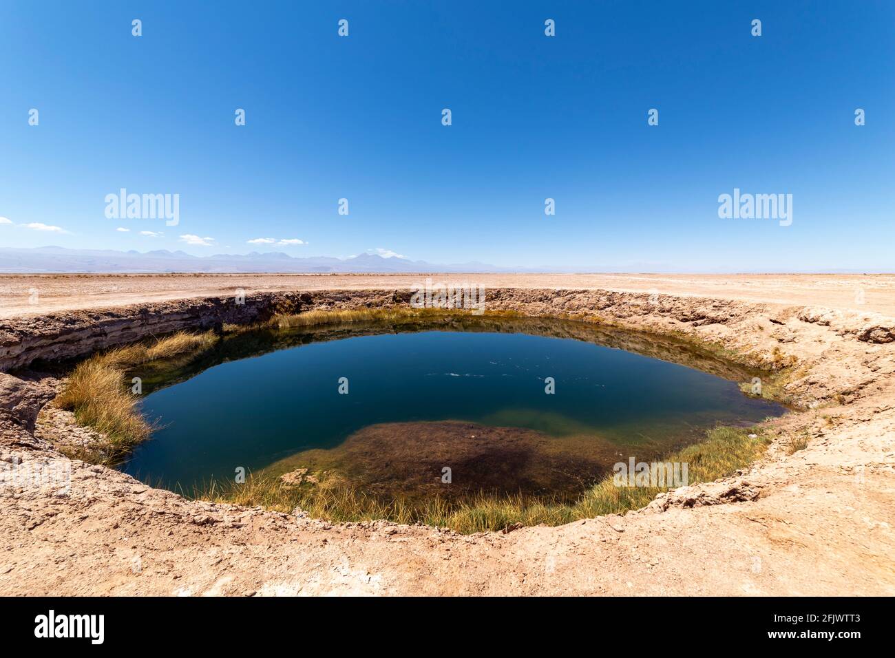 Ojos del Salar, Laguna Salar de Atacama cerca de San Pedro de Atacama, Región de Antofagasta, Chile Foto de stock