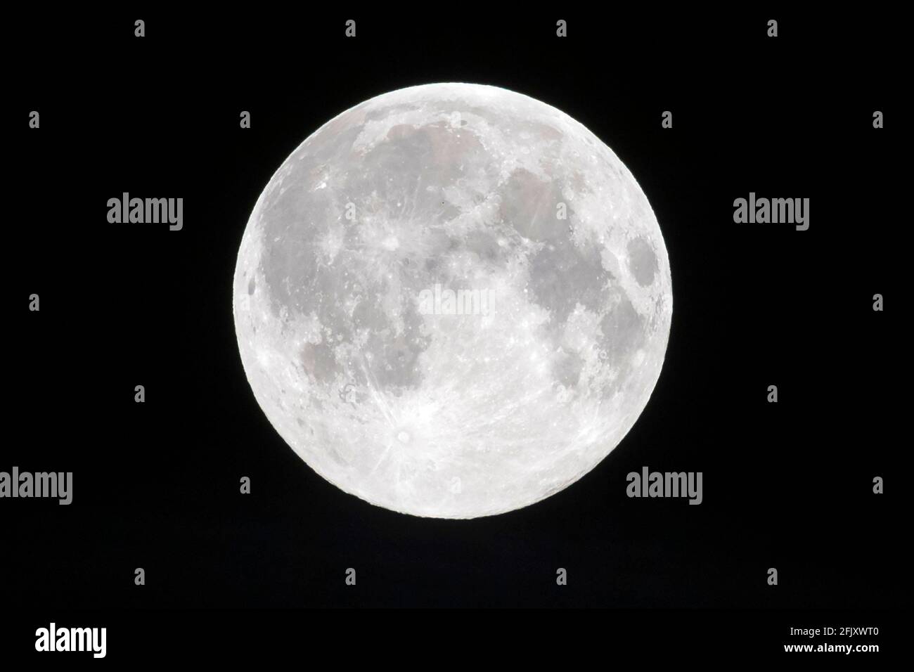 27 de abril de 2021. Londres, Reino Unido. Foto por Ray Tang. La primera Superluna Rosa aparece en el cielo temprano en la mañana. Una Superluna ocurre cuando la Luna llena al mismo tiempo la Luna está en (o cerca) perigeo. Esto hace que parezca hasta un 14% más grande y un 30% más brillante que una Luna llena en el apogeo Foto de stock