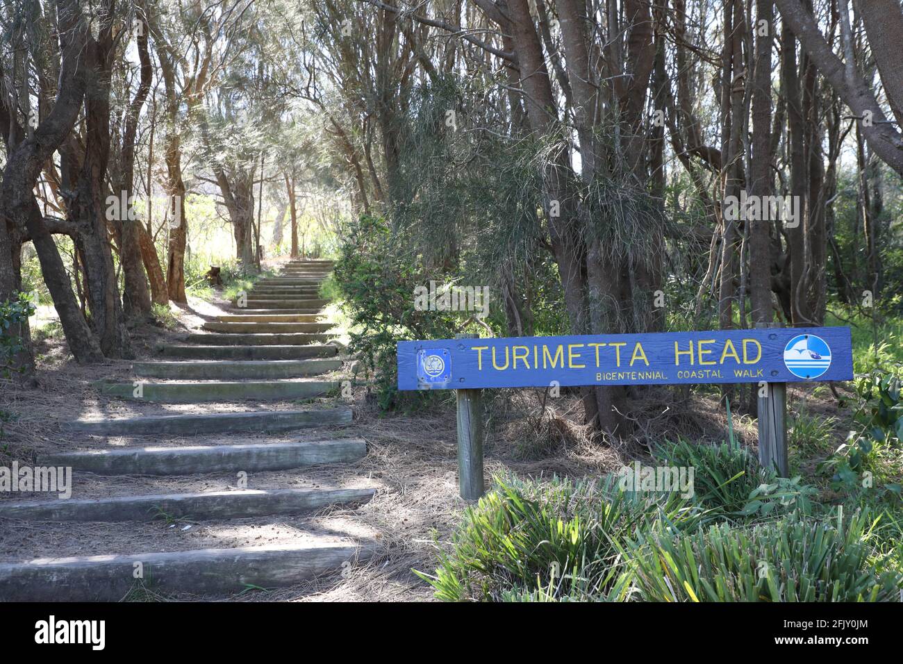 Turimetta Head, Sídney, Nueva Gales del Sur, Australia Foto de stock
