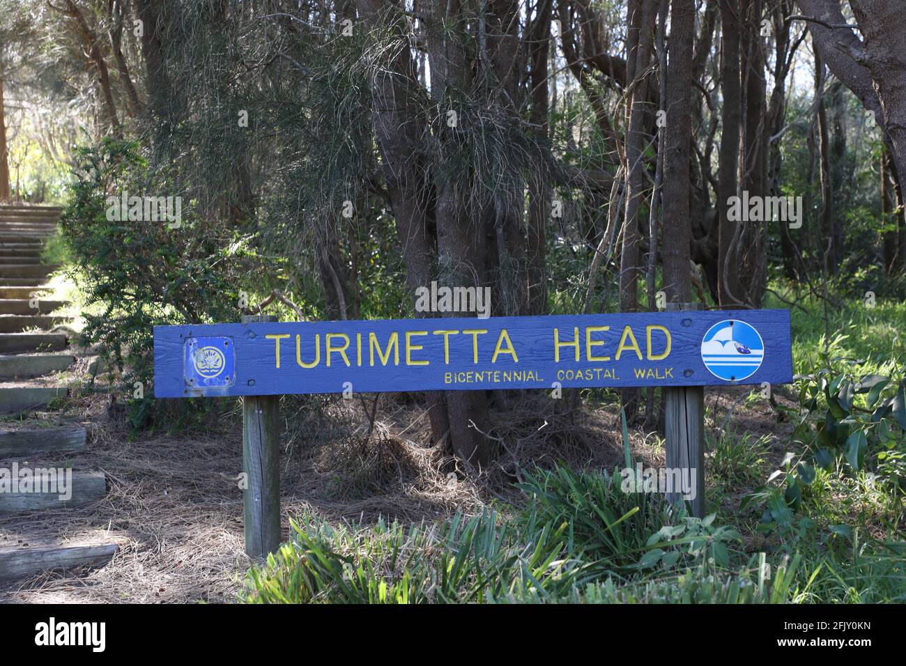 Turimetta Head, Sídney, Nueva Gales del Sur, Australia Foto de stock
