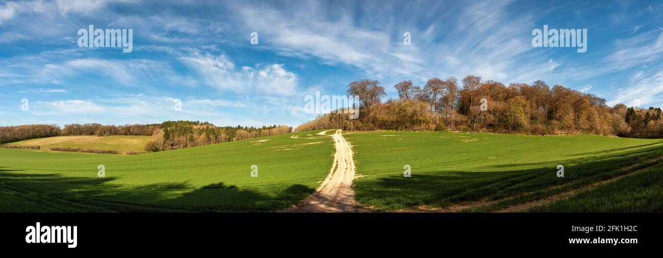 Un camino entre los campos de Chiltern Hills cerca de Little Missenden, Buckinghamshire, Inglaterra Foto de stock