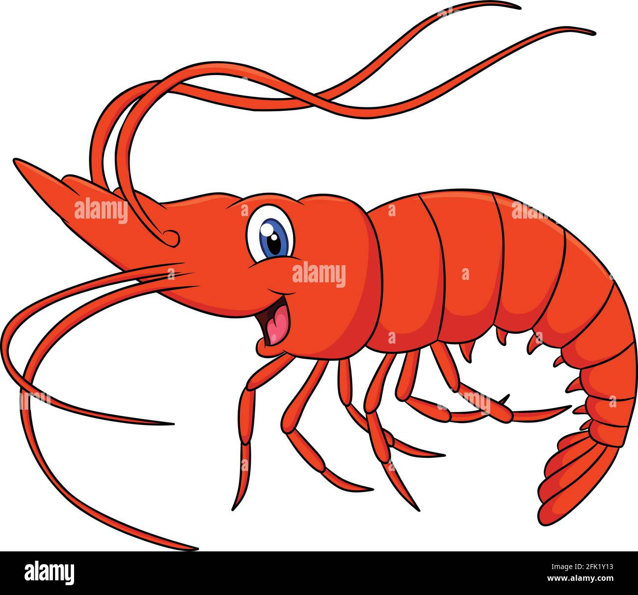 Ilustración de dibujos animados de animales de camarón lindo Imagen Vector  de stock - Alamy