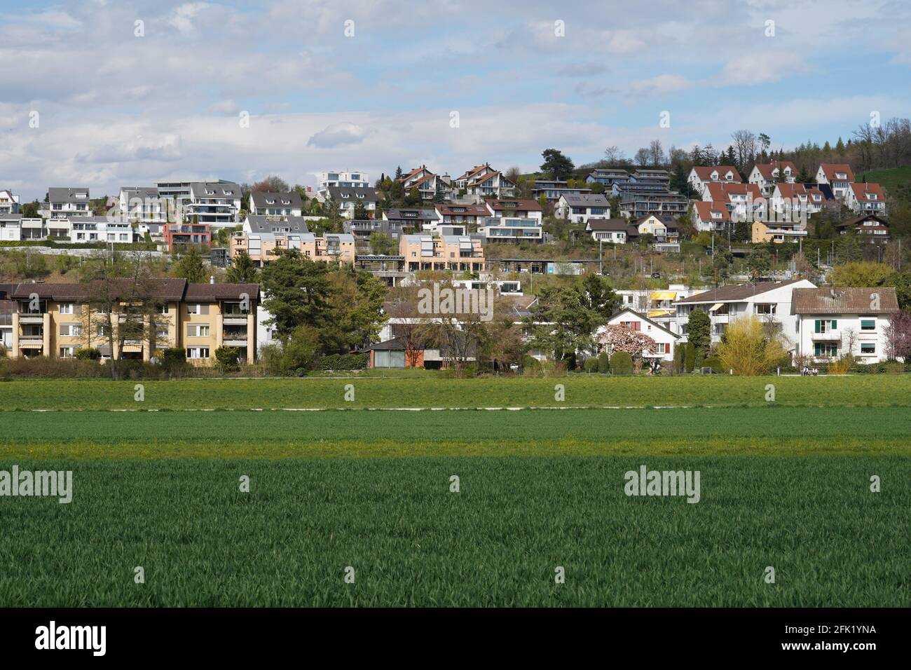 Pueblo Birmensdorf en el cantón de Zurich Suiza, un corte de un barrio residencial en una ligera pendiente. En primer plano hay un campo agrícola. Foto de stock