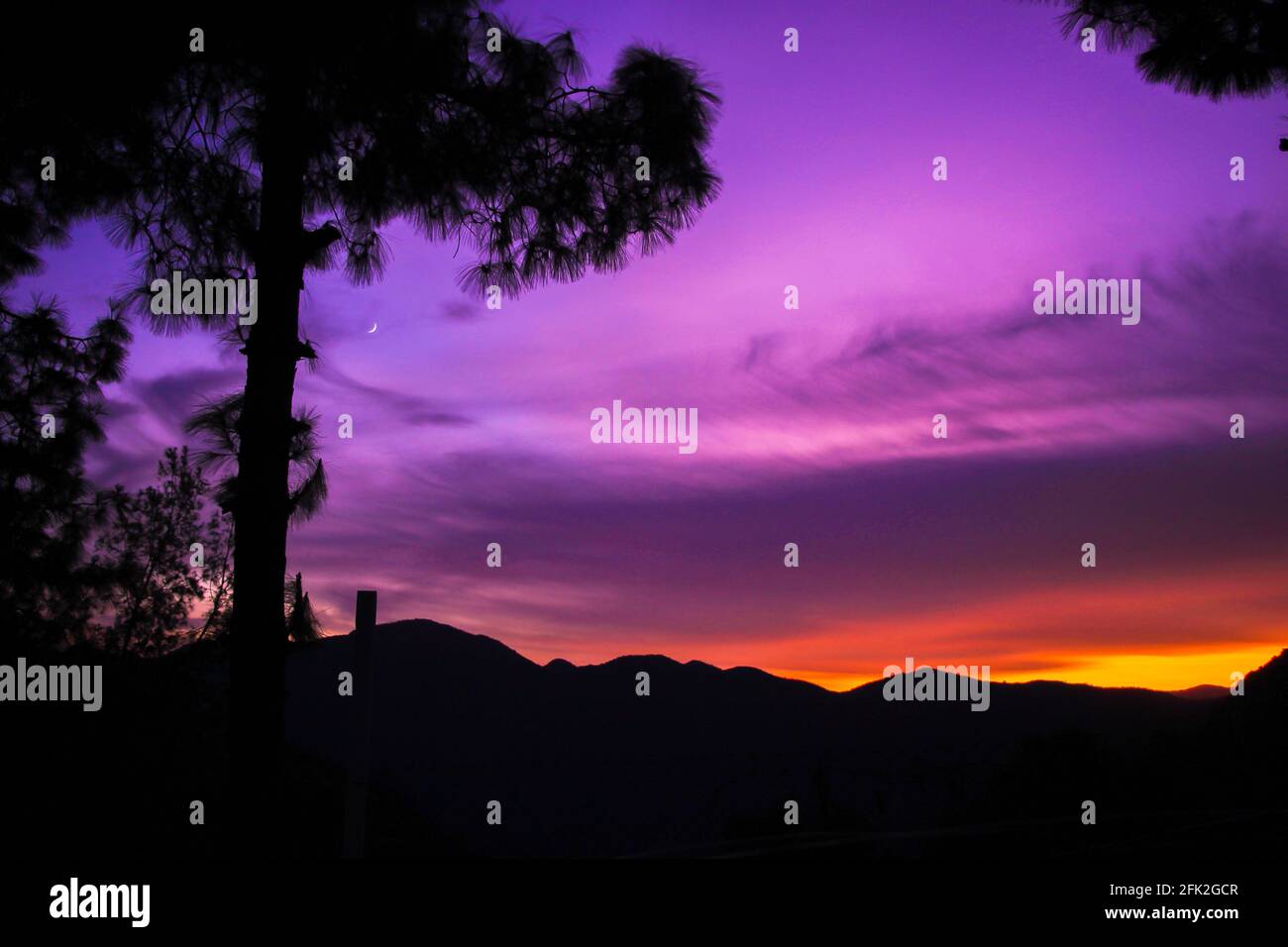 Paisaje montañoso con luna creciente, cielo púrpura y cedro Foto de stock