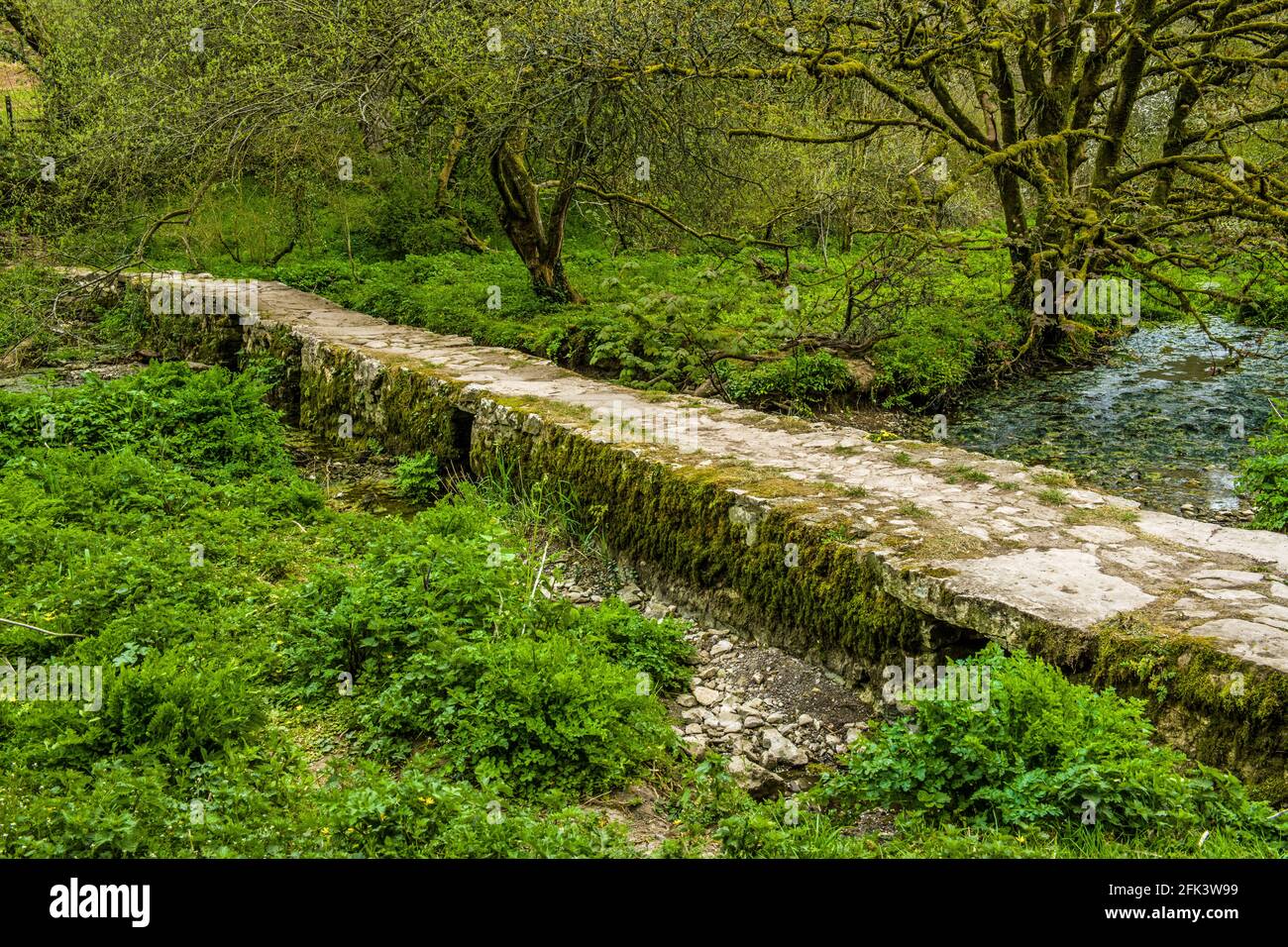 Un puente Clapper en la pequeña aldea de Castle upon Alun en el valle de Glamorgan al sur de Gales Foto de stock