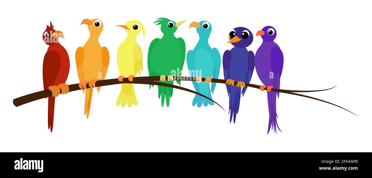 Aprende El Orden De Colores Del Arco Iris Con Diferentes Pajaros Loro Ilustracion Educativa Aislada Sobre Blanco Imagen Vector De Stock Alamy