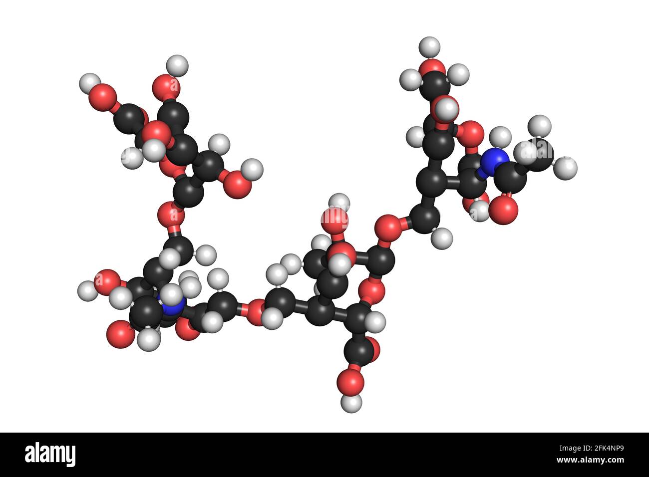 La molécula de ácido hialurónico 3D produce la estructura química