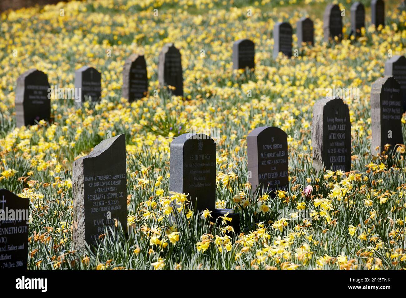 Primavera en el cementerio Windermere de la iglesia parroquial de Troutbeck, en el lago Cumbria Parque Nacional del Distrito Foto de stock