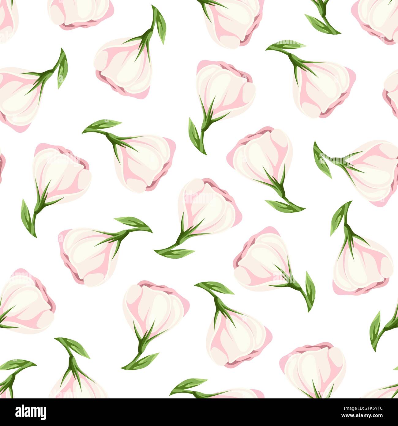 Patrón vectorial sin costuras con flores de lisianthus rosa sobre fondo blanco. Ilustración del Vector