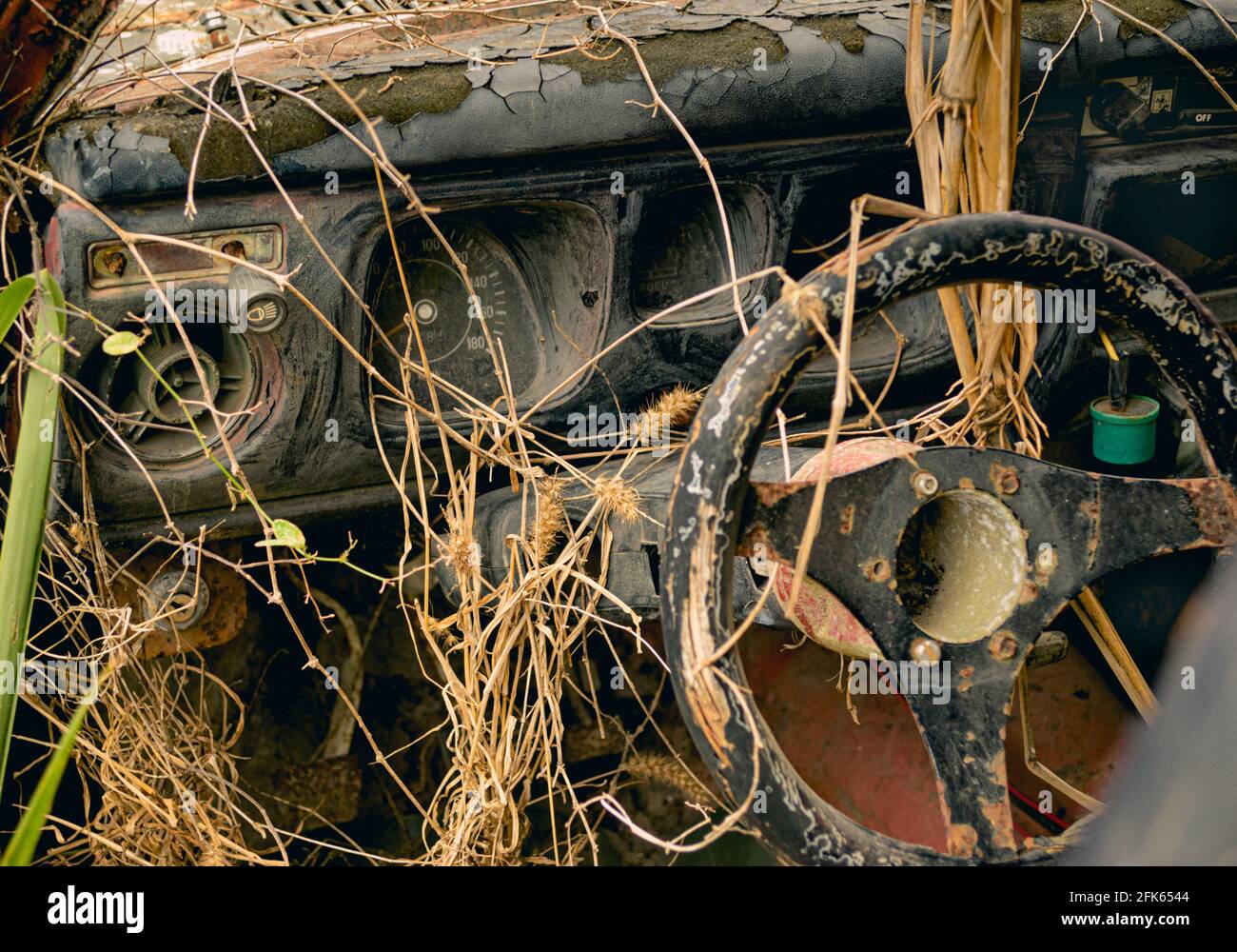 Abandonado coche naufragado sobrecrecido con plantas Foto de stock