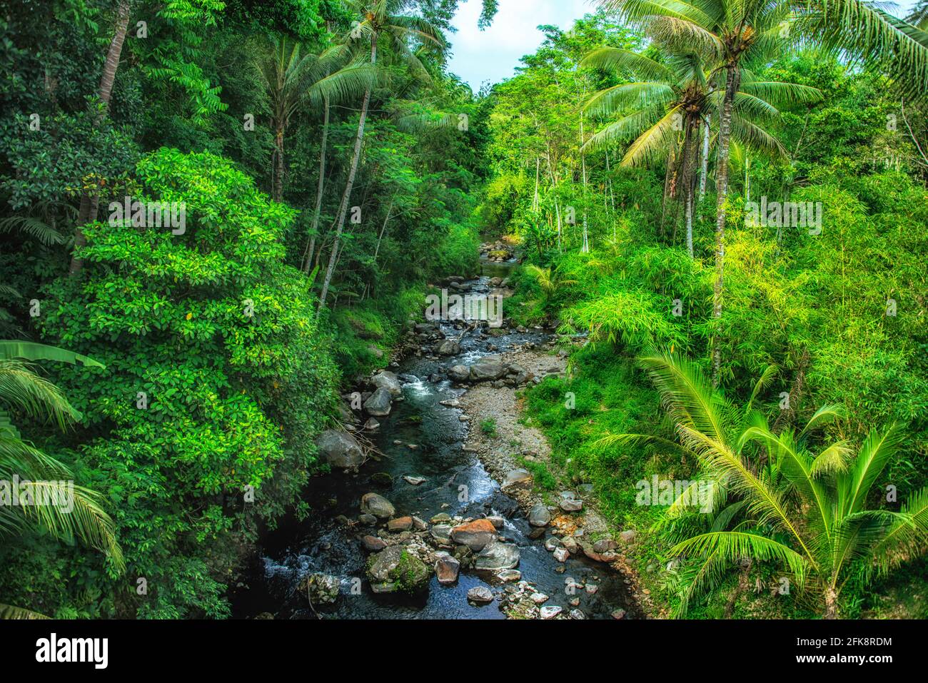 Paisaje tropical en la selva Foto de stock