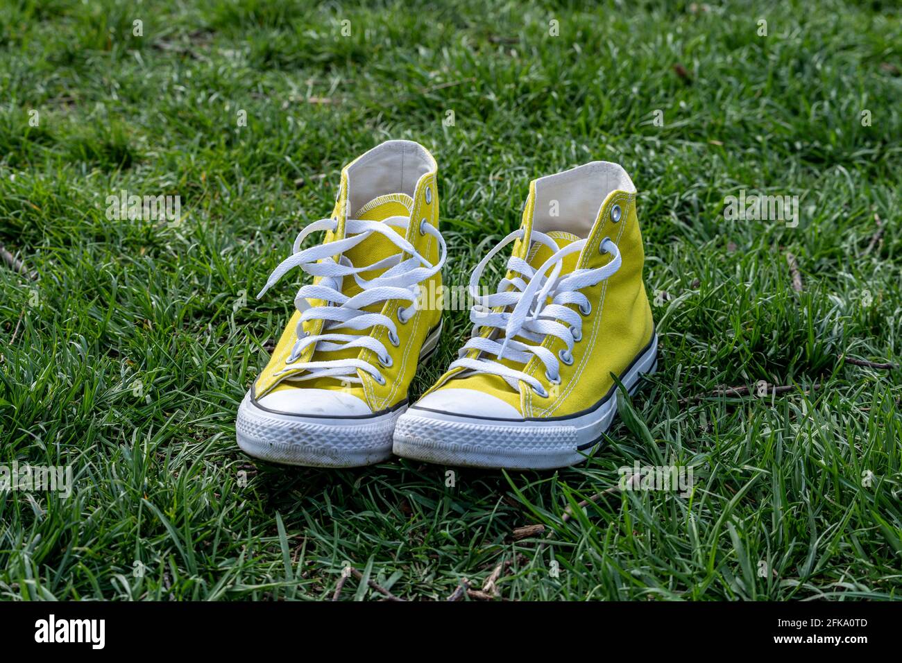 Sneakers Taylor Converse All-Star amarillas en color hierba adentro resorte Fotografía de stock - Alamy