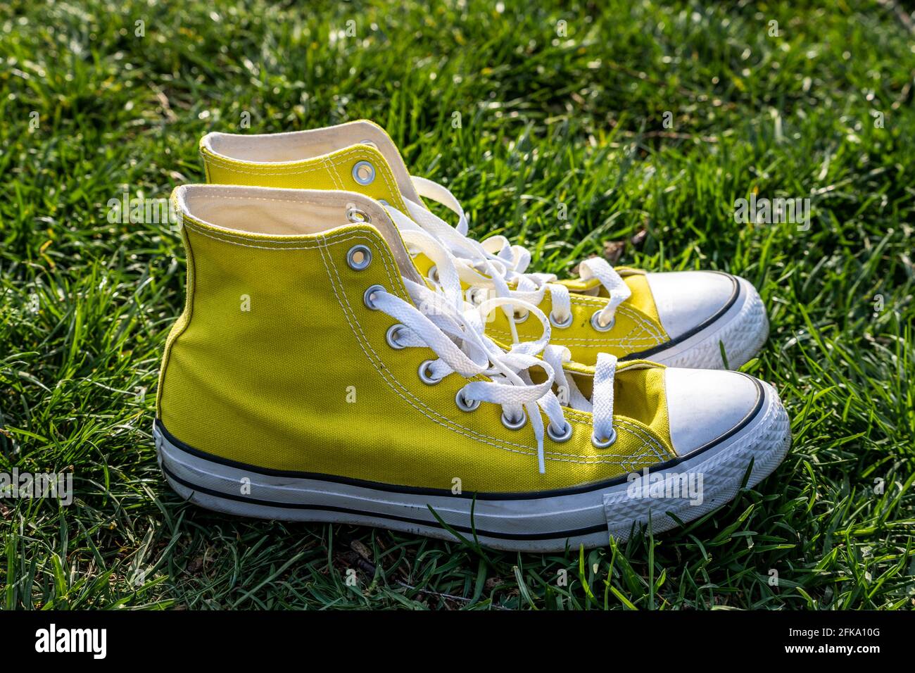 Sneakers Taylor Converse All-Star amarillas en color hierba adentro resorte Fotografía de stock - Alamy