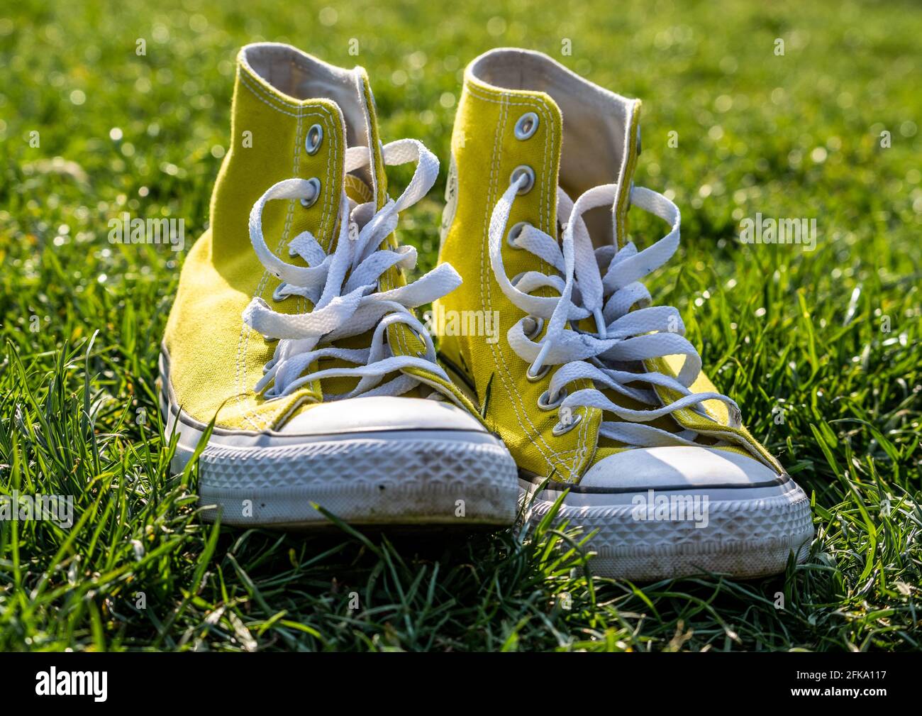 Menos que efectivo arco Sneakers Chuck Taylor Converse All-Star amarillas en color verde hierba  adentro resorte Fotografía de stock - Alamy