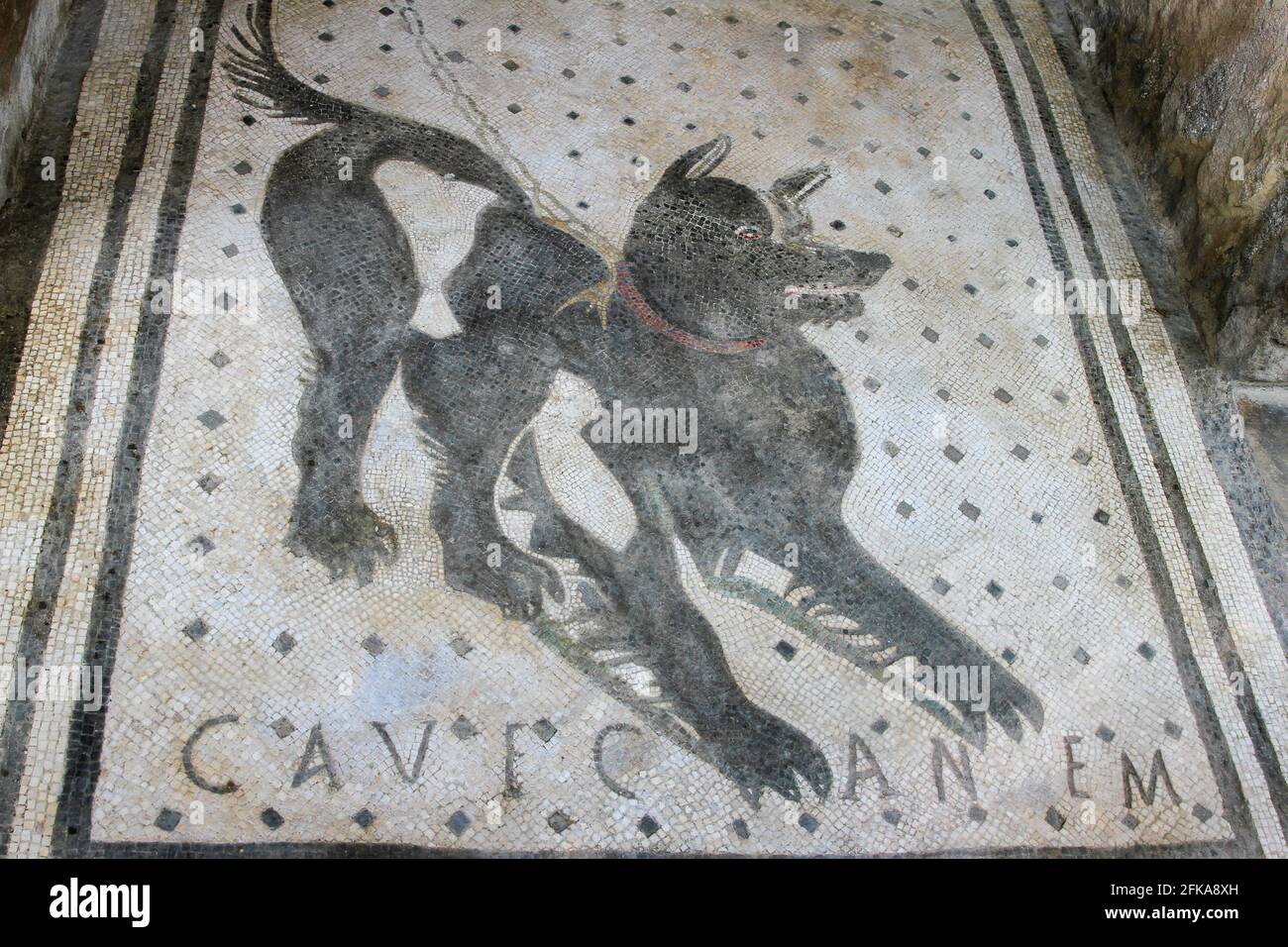 Cueva canem Mosaico romano a la entrada de la Casa del poeta trágico en Pompeya, Italia Foto de stock