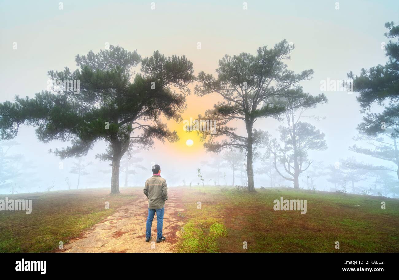 El hombre viajero está de pie mirando el amanecer en una colina de pino de la mañana brumosa en la cima de las tierras altas de Da Lat, Vietnam Foto de stock