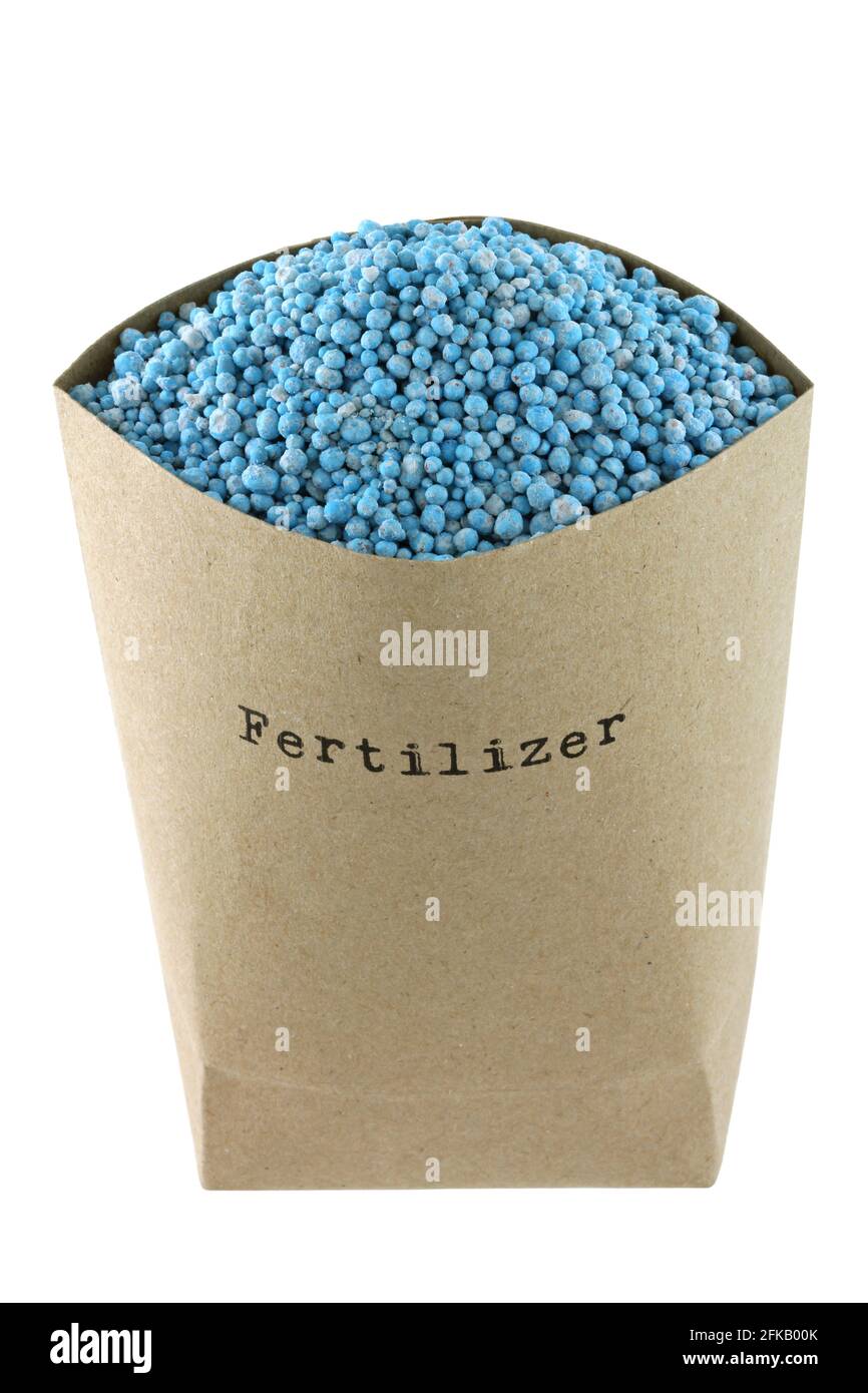 Una bolsa llena de fertilizante compuesto NPK azul aislado sobre fondo blanco Foto de stock