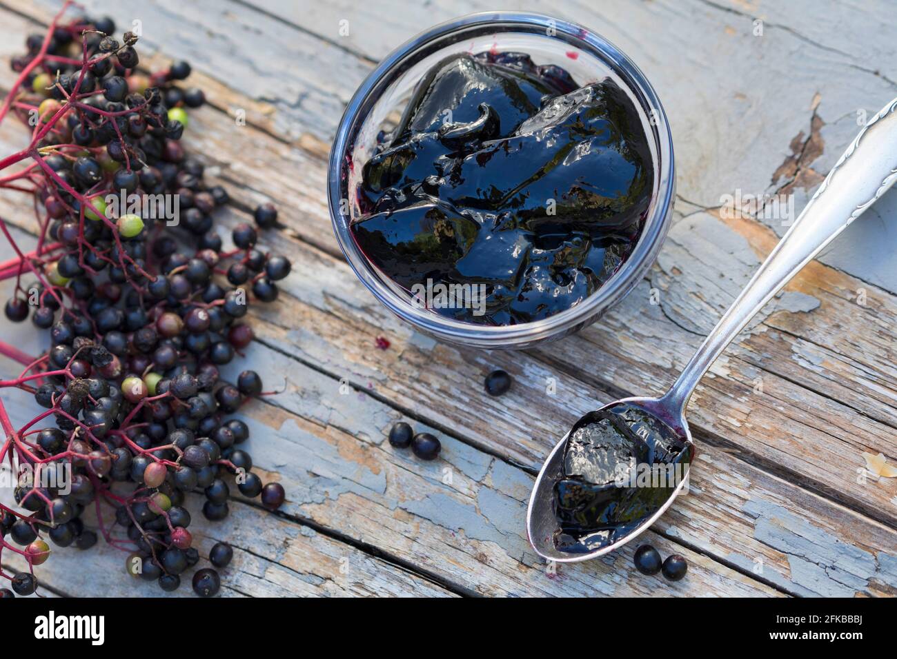 Anciano negro europeo, Elderberry, anciano común (Sambucus nigra), gelatina casera de la fresa , Alemania Foto de stock