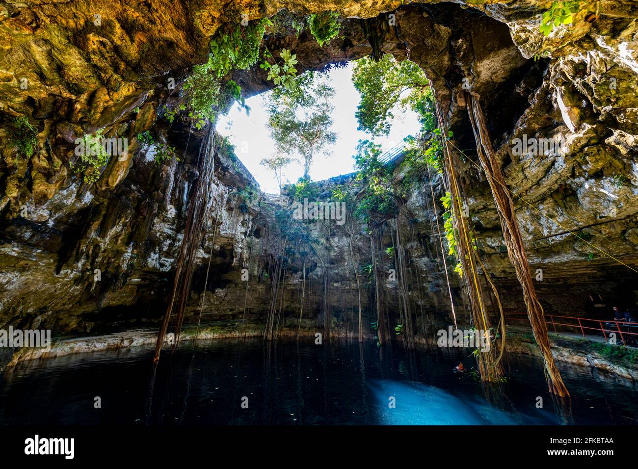 Cenote Oxmal, Valladolid, Yucatán, México, Norteamérica Foto de stock