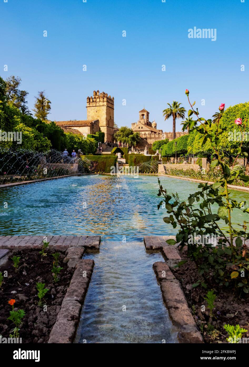 Jardines del Alcázar de los Reyes Cristianos (Alcázar de los Reyes Cristianos), Patrimonio de la Humanidad de la UNESCO, Córdoba, Andalucía, España, Europa Foto de stock