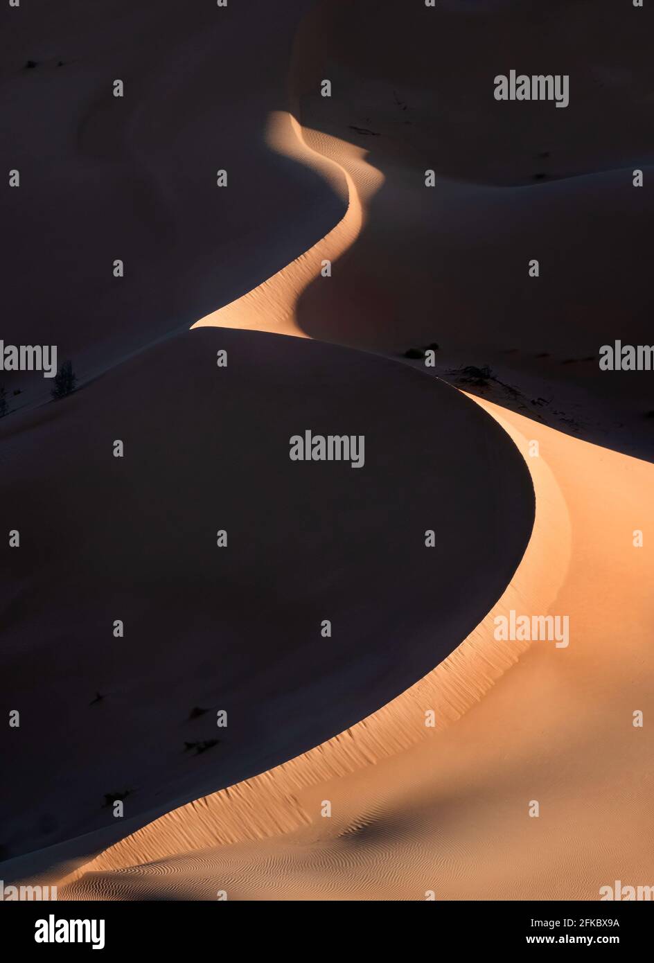 Dunas de arena al amanecer con alto contraste en el desierto de RUB al Khali, Omán, Oriente Medio Foto de stock