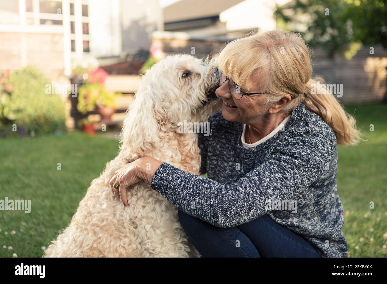 Perro besando rubia mujer en el patio delantero Foto de stock