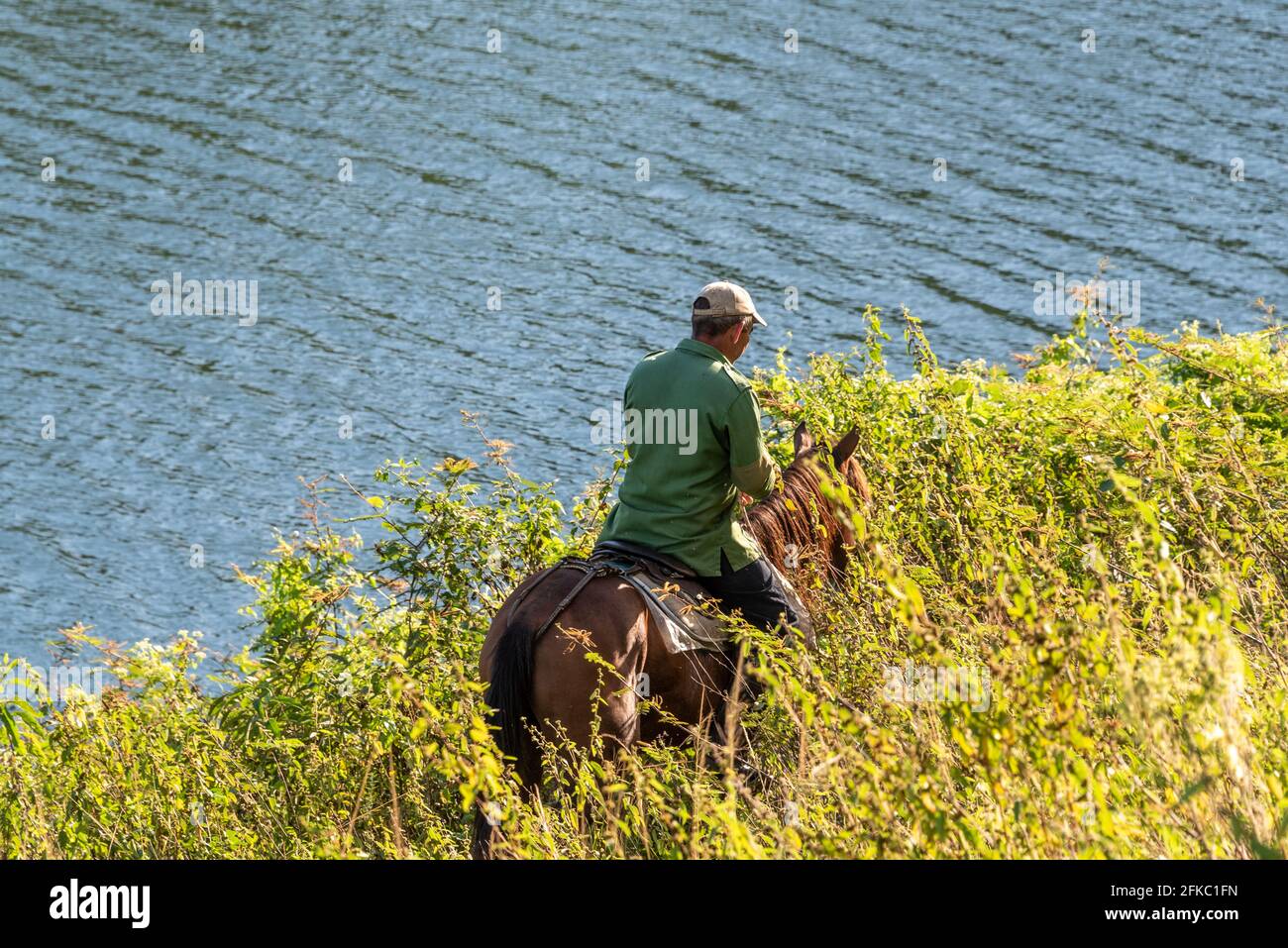 Caballo campesino, Hanabanilla, Villa Clara, Cuba Foto de stock