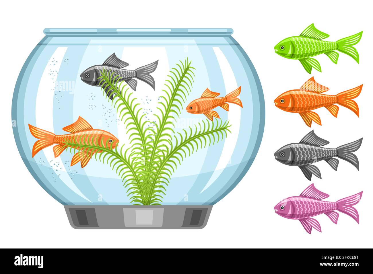 Pecera Imágenes vectoriales de stock - Alamy Pecera Imágenes vectoriales de stock - Alamy