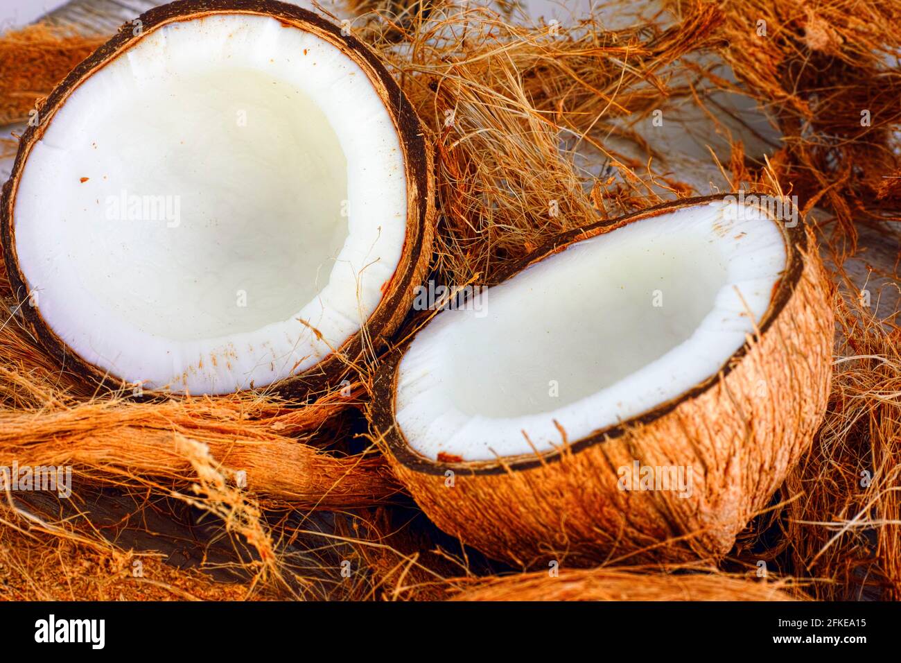 Fibra de coco fotos de stock, imágenes de Fibra de coco sin royalties