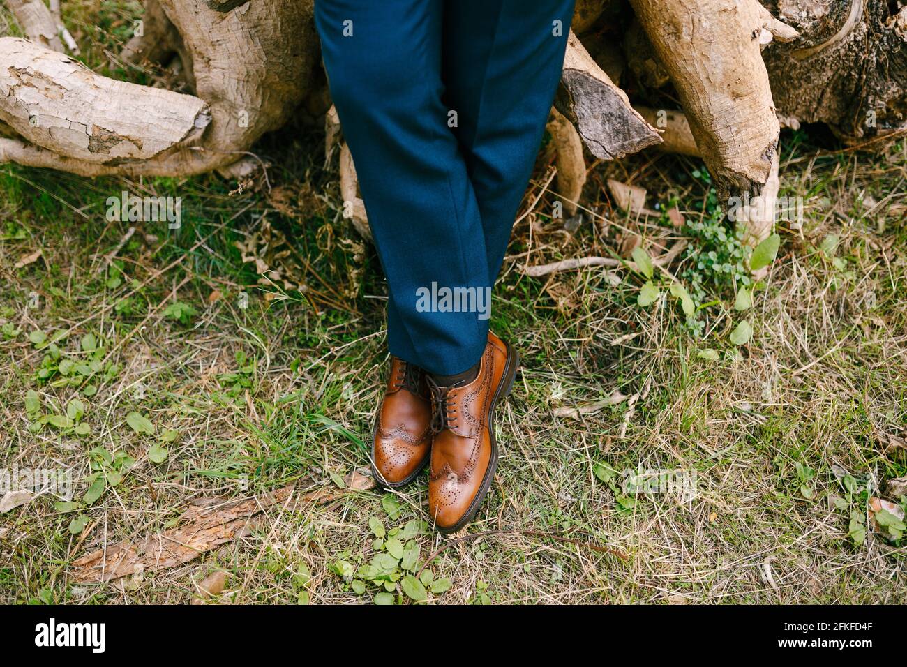 Piernas de un hombre en un traje azul y zapatos marrones de cuero de hierba seca, primer plano Fotografía de stock - Alamy