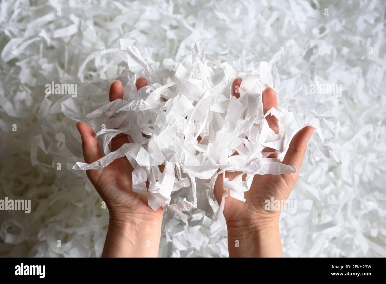 Pila de papel triturado en las manos, vista superior de muchas tiras blancas. Pila papel como confeti para el relleno de fiesta o de la caja. Concepto de reciclaje,