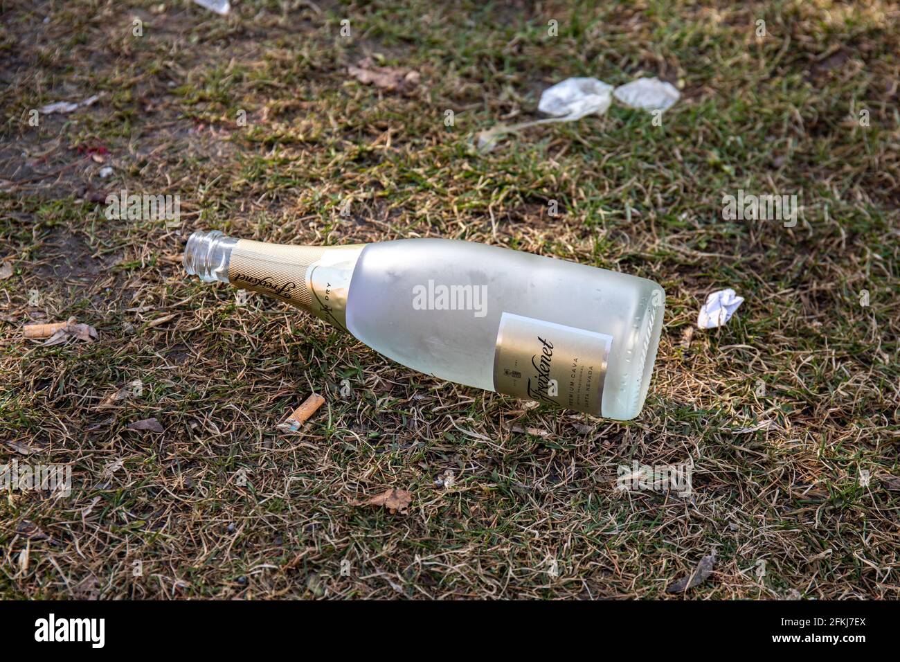Botella vacía de cava Freixenet o vino espumoso en el césped Después de las celebraciones del Día de Mayo Foto de stock