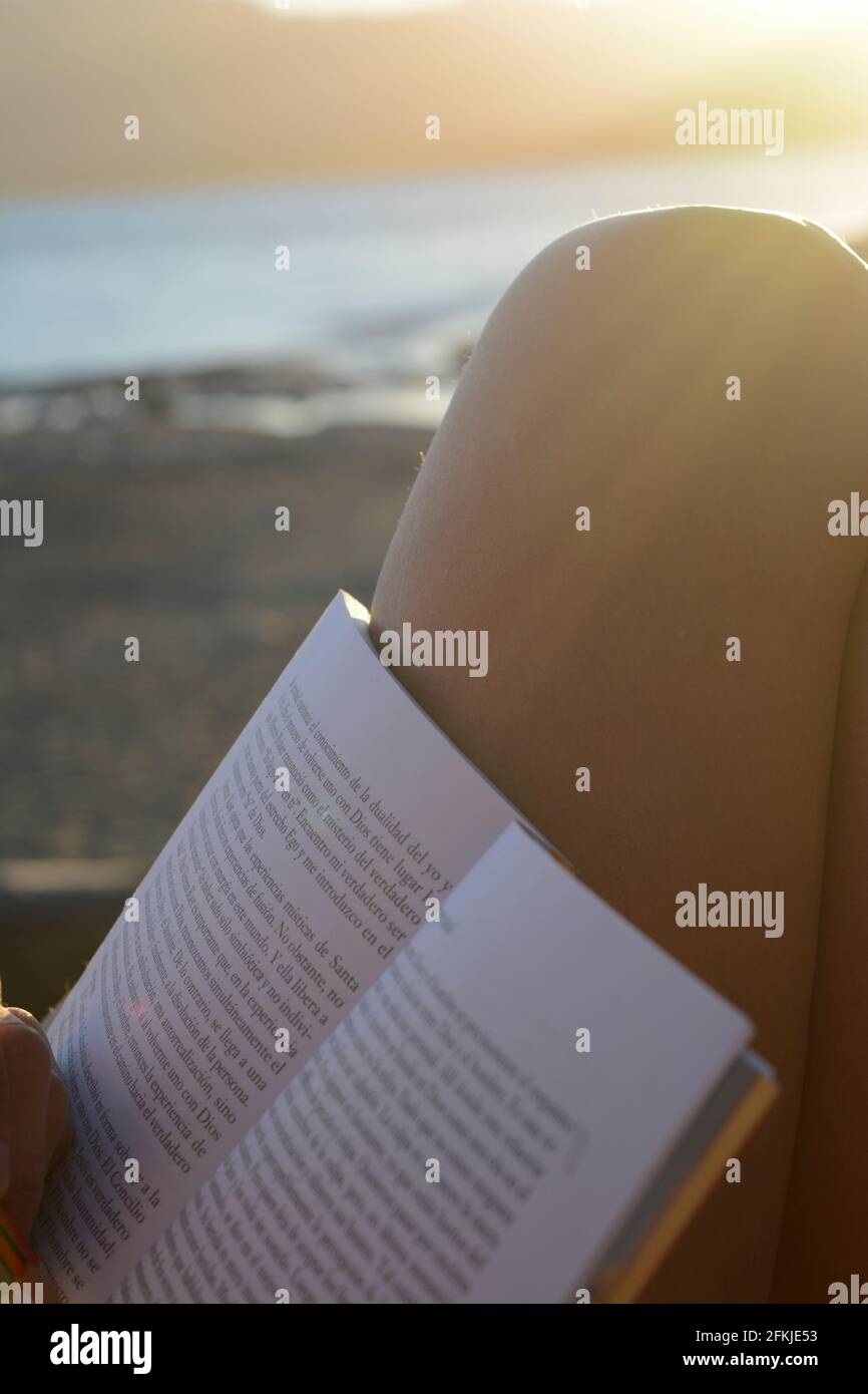 leer y escribir al sol junto a un lago, mujer joven. estilo de vida tranquilo, vacaciones relajantes Foto de stock