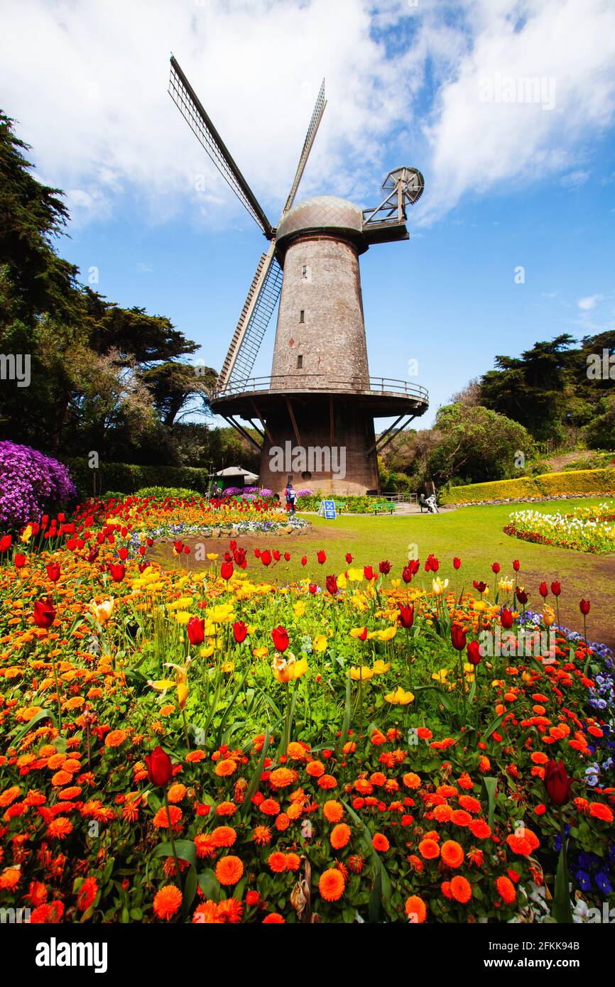 Molino de viento holandés en el Parque Golden Gate, San Francisco Foto de stock