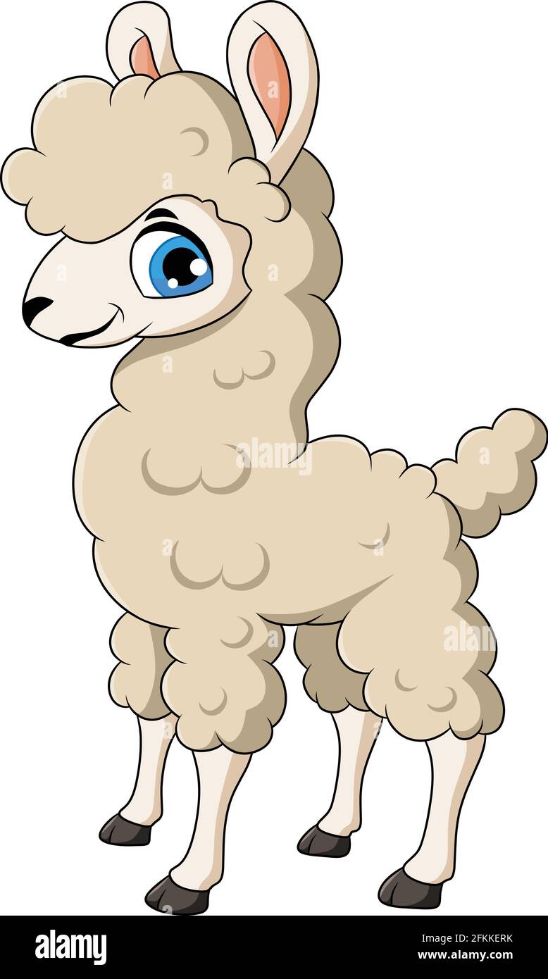 Lindo Llama Animal ilustración de dibujos animados Ilustración del Vector