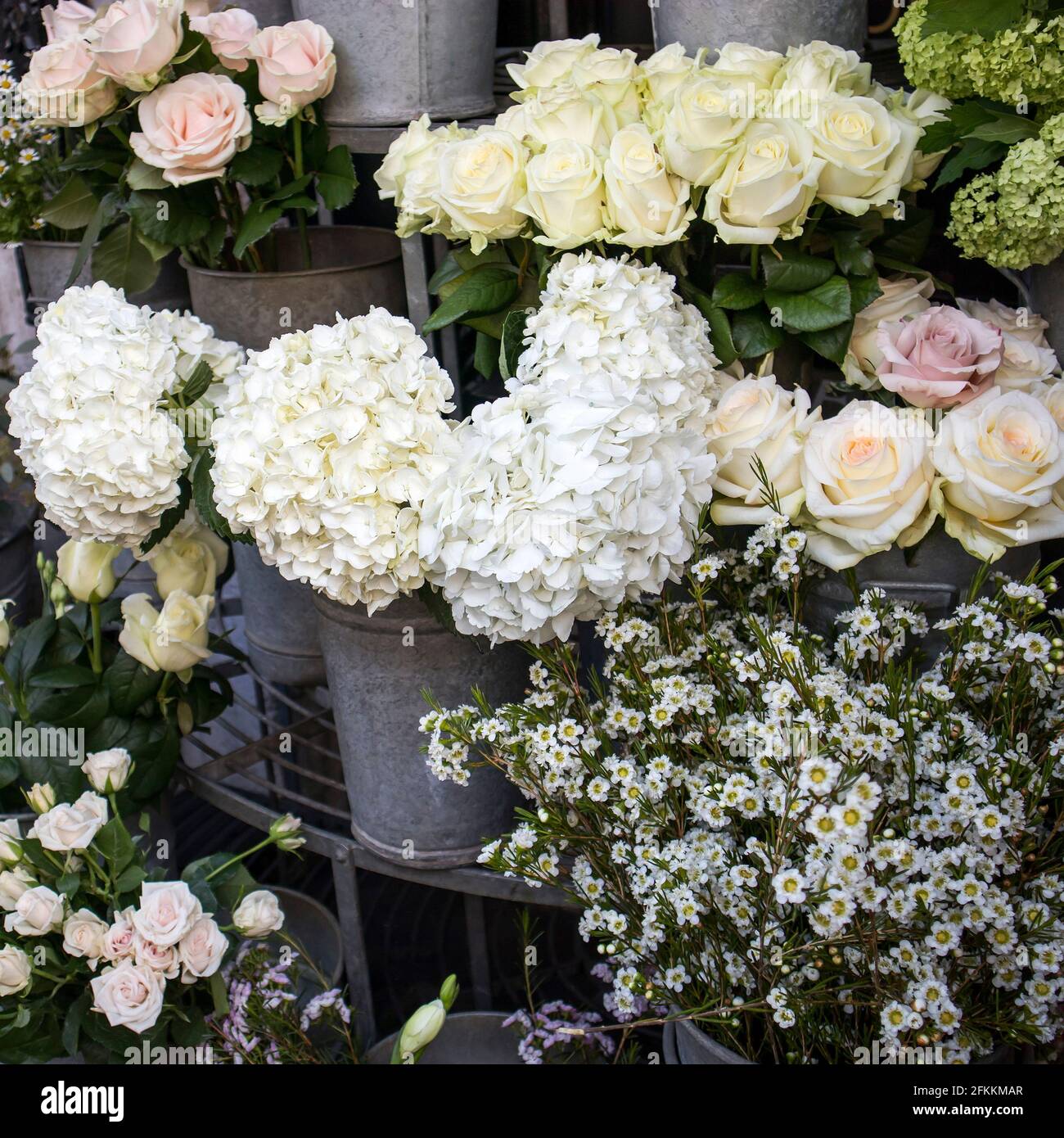 Galvanized and flowers fotografías e imágenes de alta resolución - Página 2  - Alamy