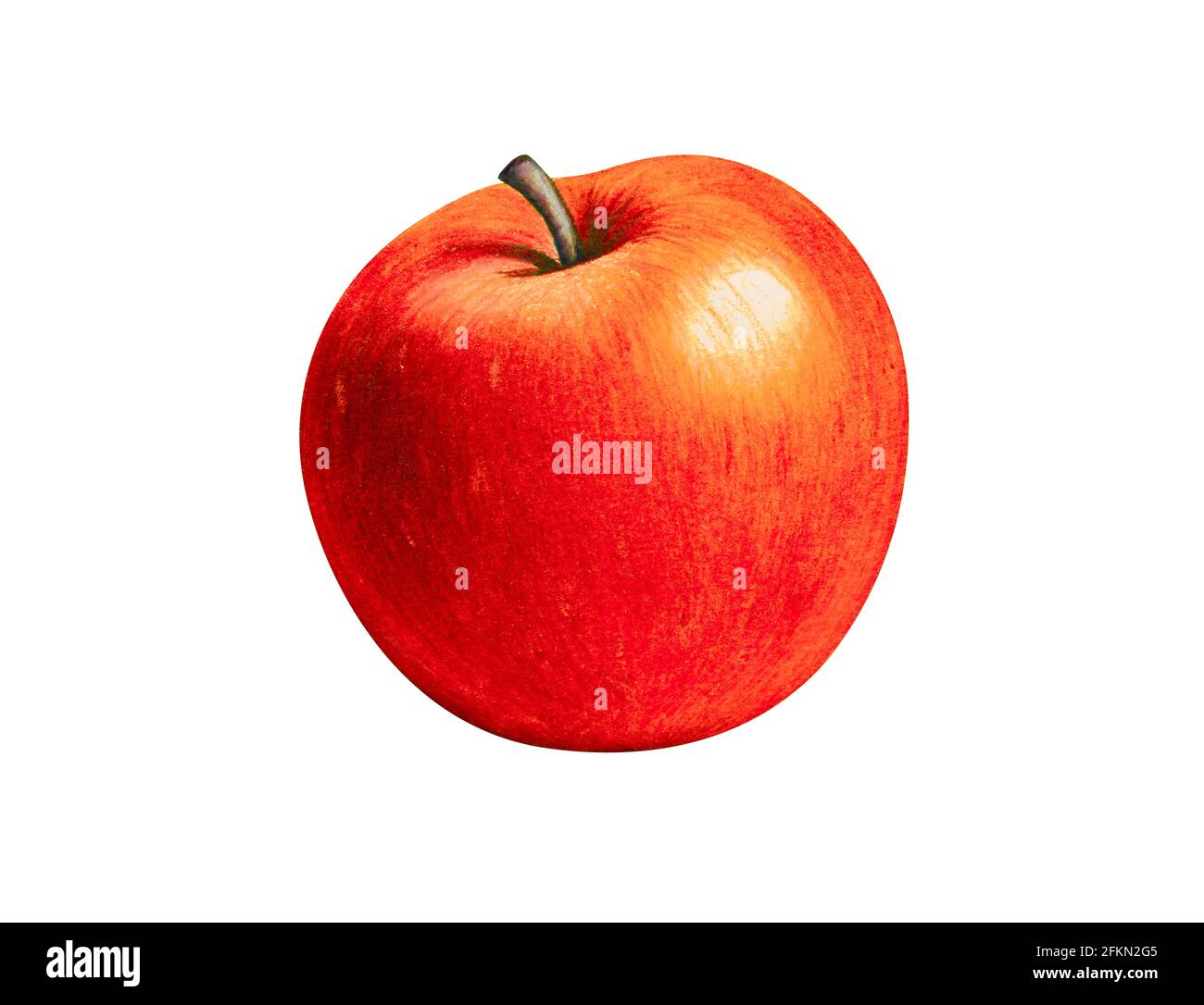 Dibujo de la manzana fotografías e imágenes de alta resolución - Alamy