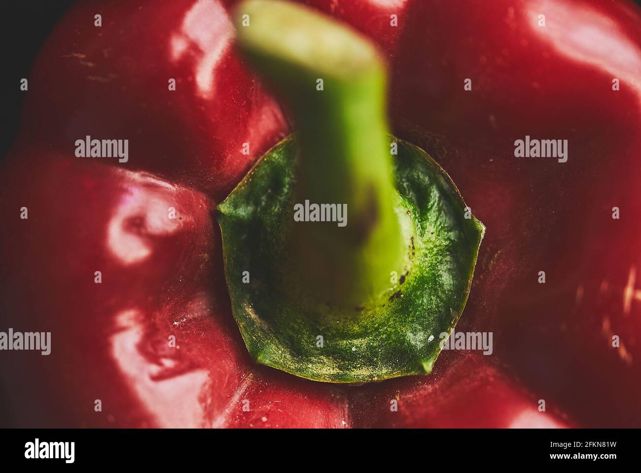 Macro primer plano de un pimiento rojo fresco fondo oscuro Foto de stock