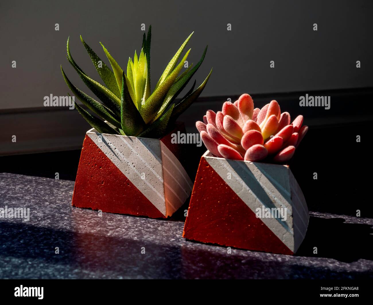 Macetas de hormigón DIY, forma piramidal con plantas suculentas verdes y  rosadas sobre fondo oscuro. Dos sembradoras de cemento pintadas de color  cobre únicas Fotografía de stock - Alamy